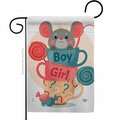 Cuadrilatero Mousy Boy Girl Celebration New Born Double-Sided Decorative Garden Flag, Multi Color CU3903167